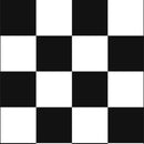 Checker Coinhole®