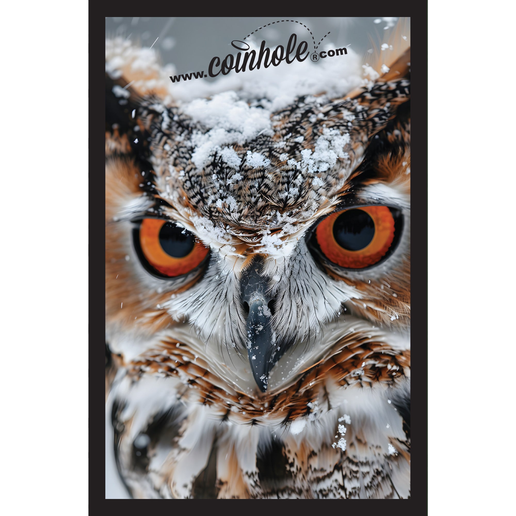 Owl Coinhole®