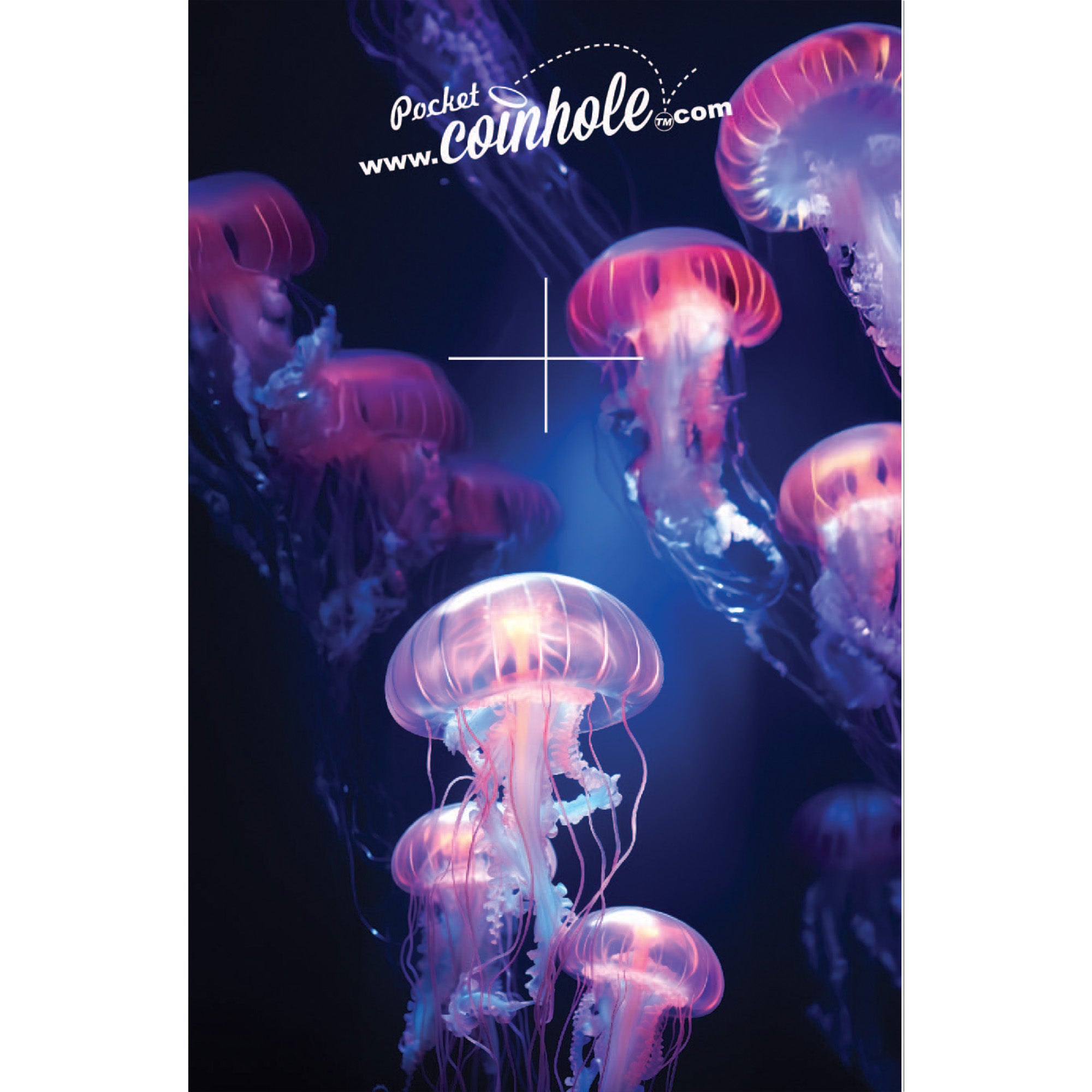 Jellyfish Coinhole®