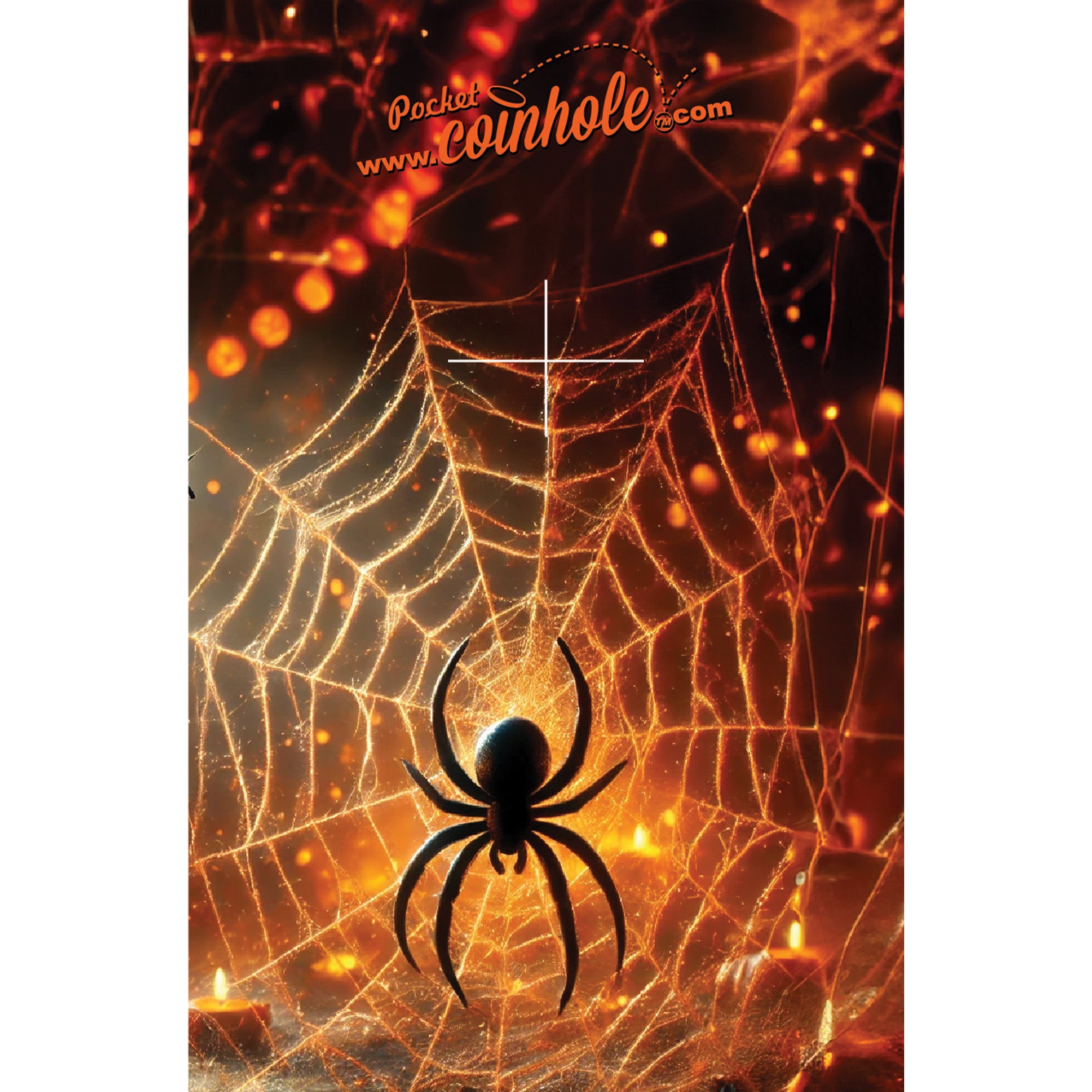Spider Web Coinhole®