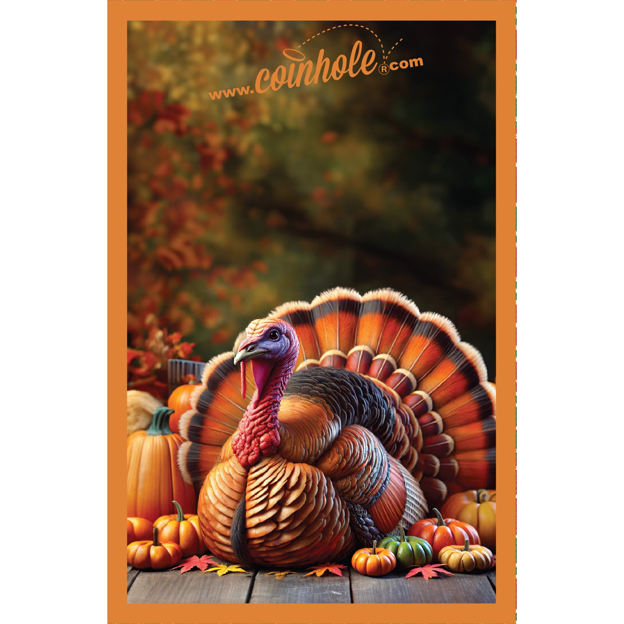 Thanksgiving Coinhole®