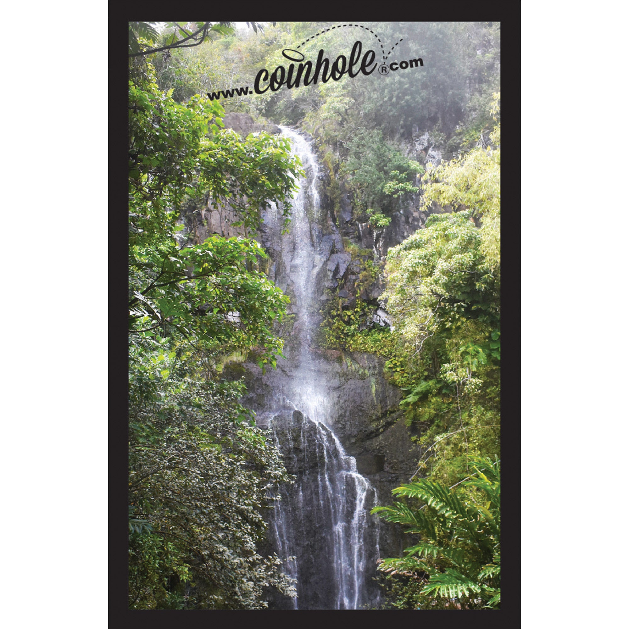 Waterfall Coinhole®