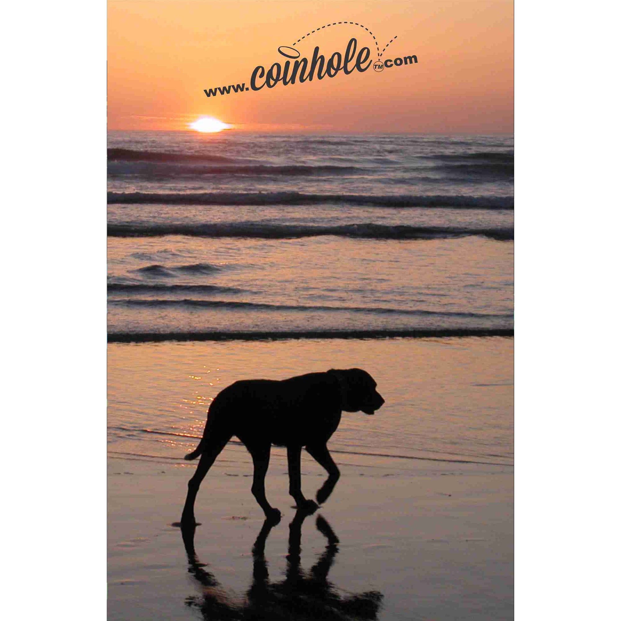 Dog on Beach Coinhole®