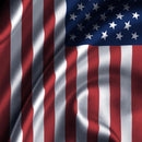 American Flag Coinhole®