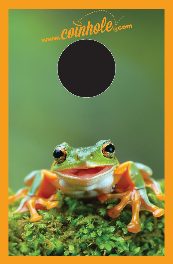 Frog Coinhole® Tabletop Game Set