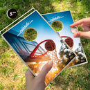 Basketball Hoop Coinhole®