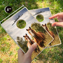 Horses Coinhole®