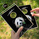 Panda Coinhole®