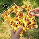 Rubber Duck Coinhole®