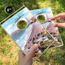 San Fransico California Coinhole®