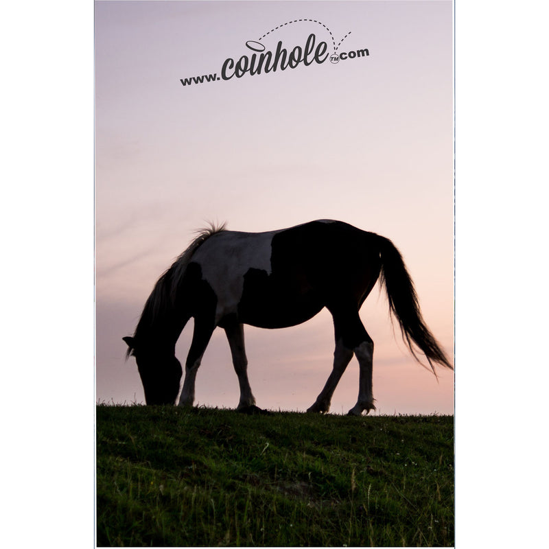 Horse Coinhole®