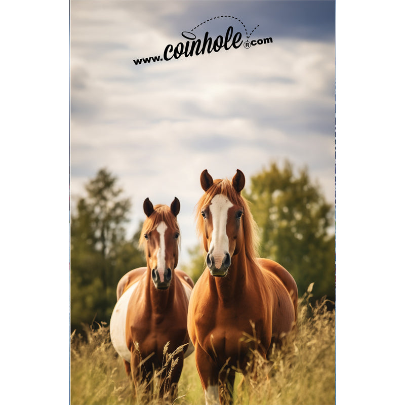 Horses Coinhole®