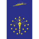 Indiana State Flag Coinhole®