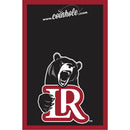 Lenoir-Rhyne Black Coinhole®