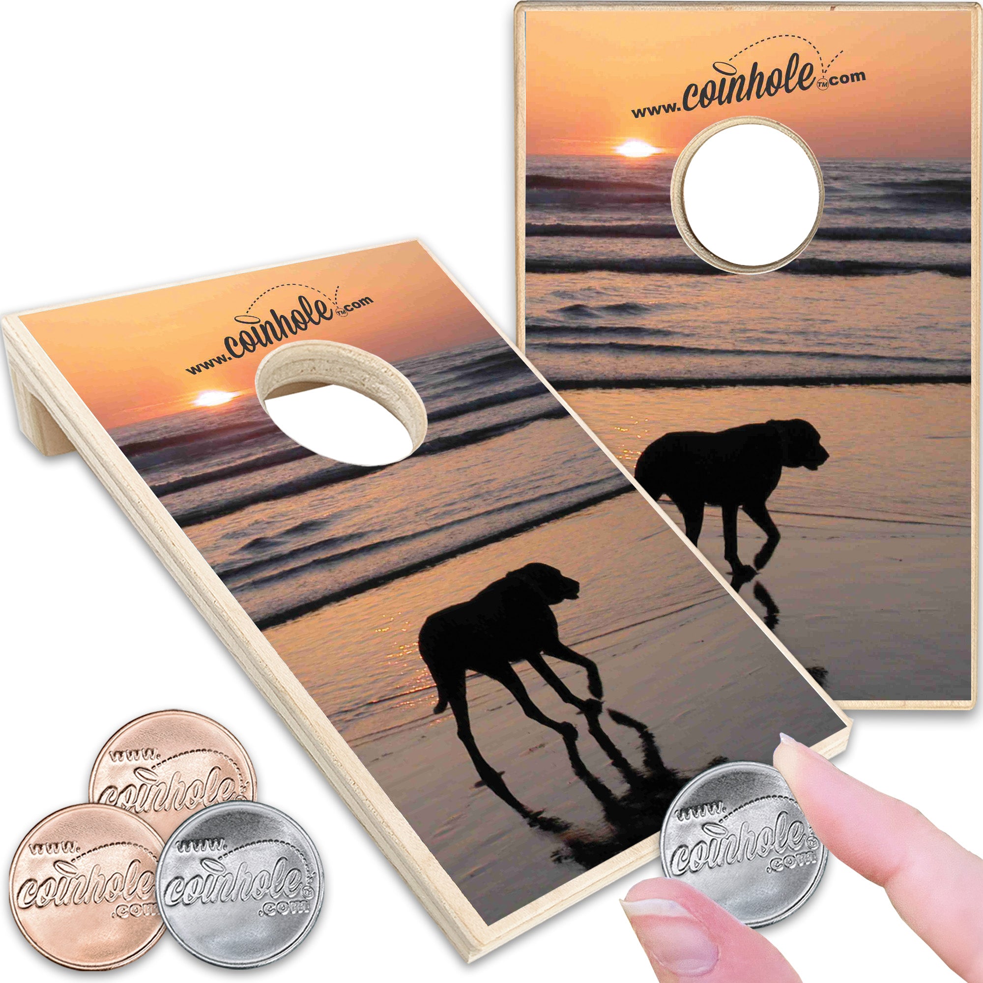 Dog on Beach Coinhole®