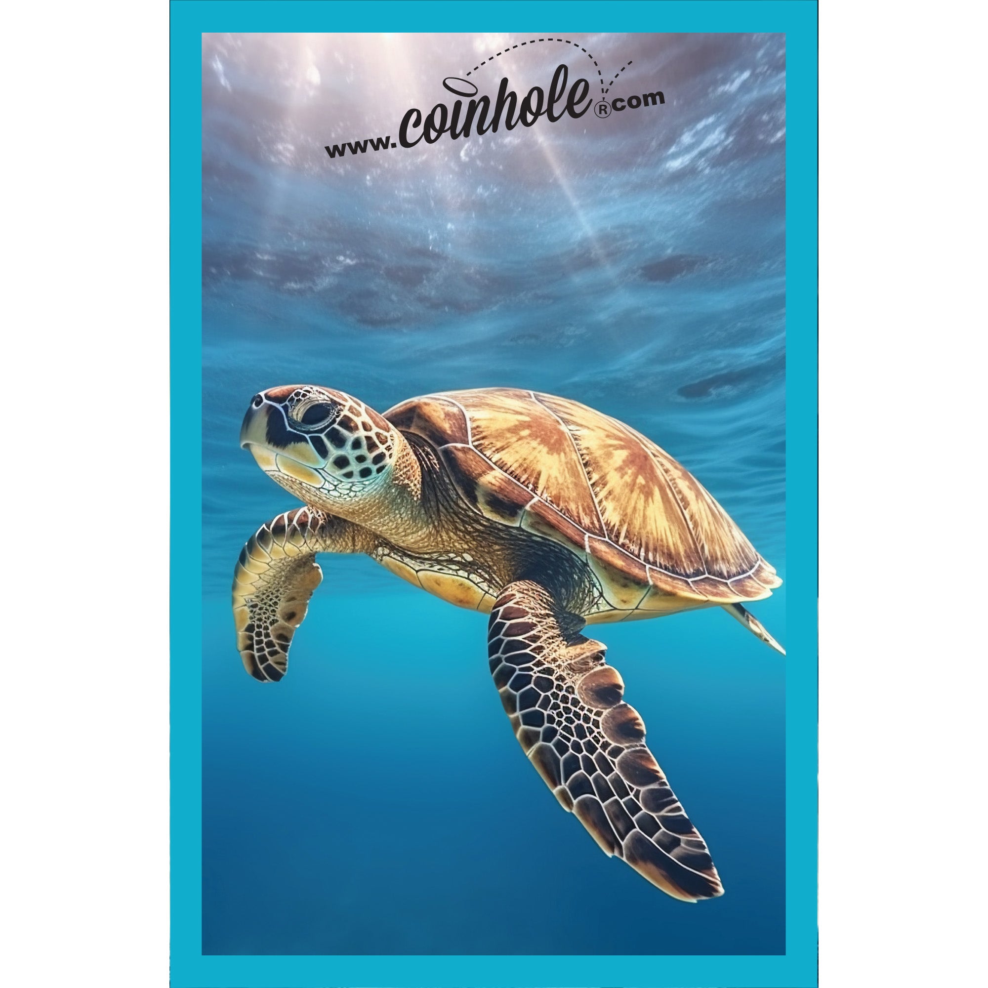 Sea Turtle Coinhole®