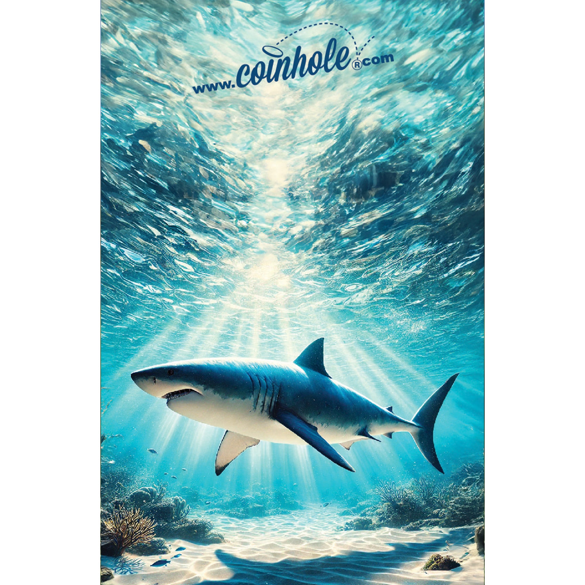 Shark Coinhole® Tabletop Game Set