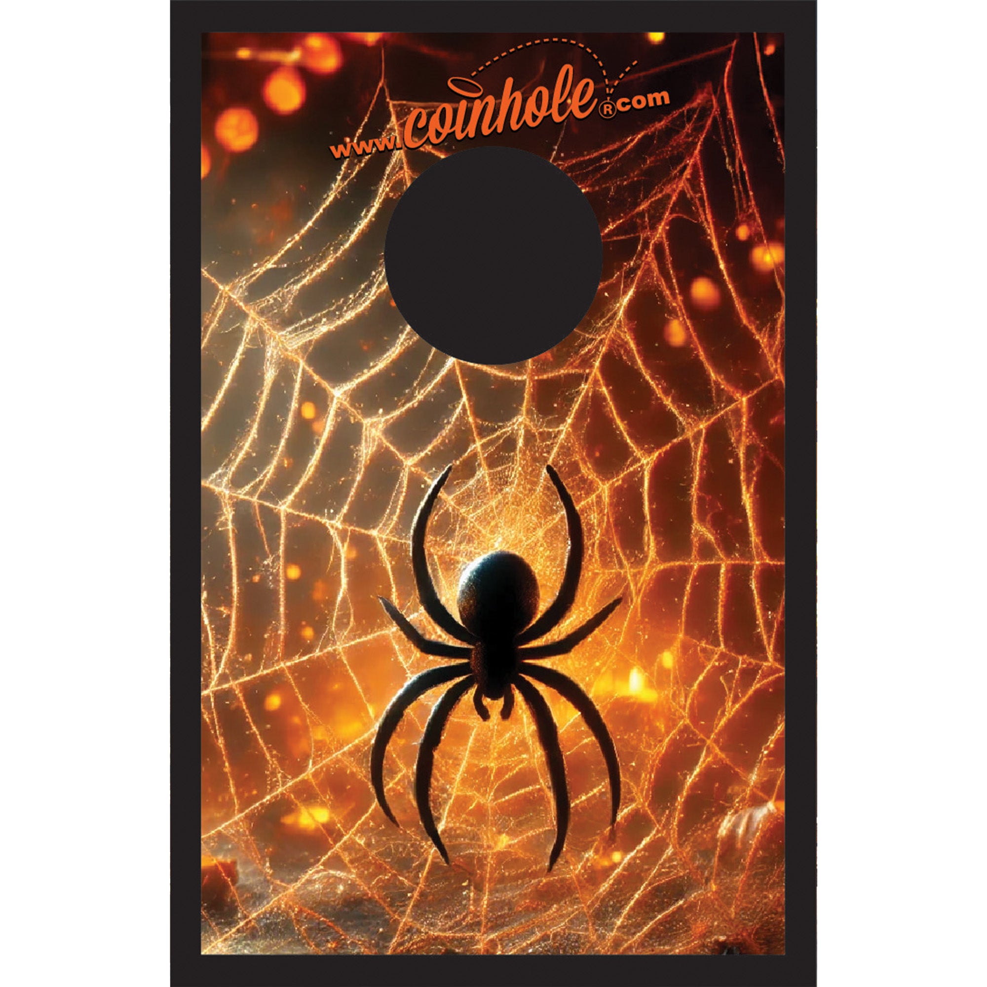Spider Web Coinhole®