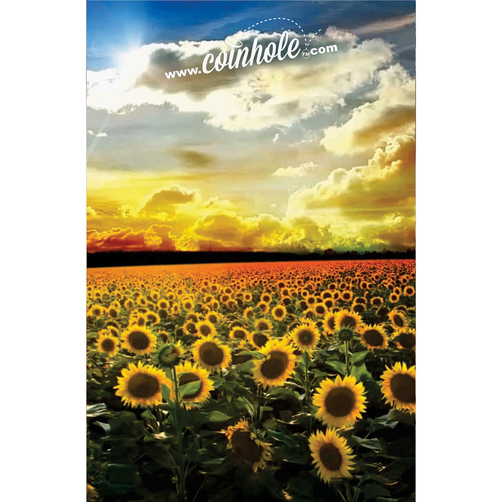 Sunflower Coinhole®