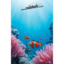 Clownfish Coinhole®