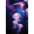 Jellyfish Coinhole®