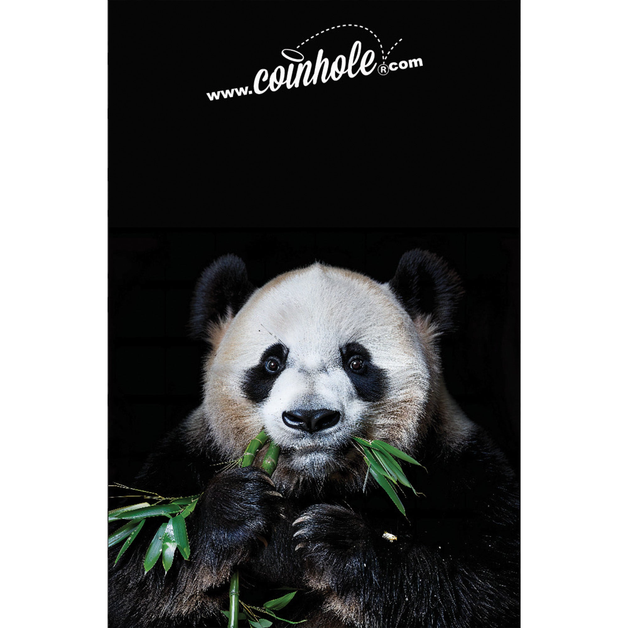 Panda Coinhole®