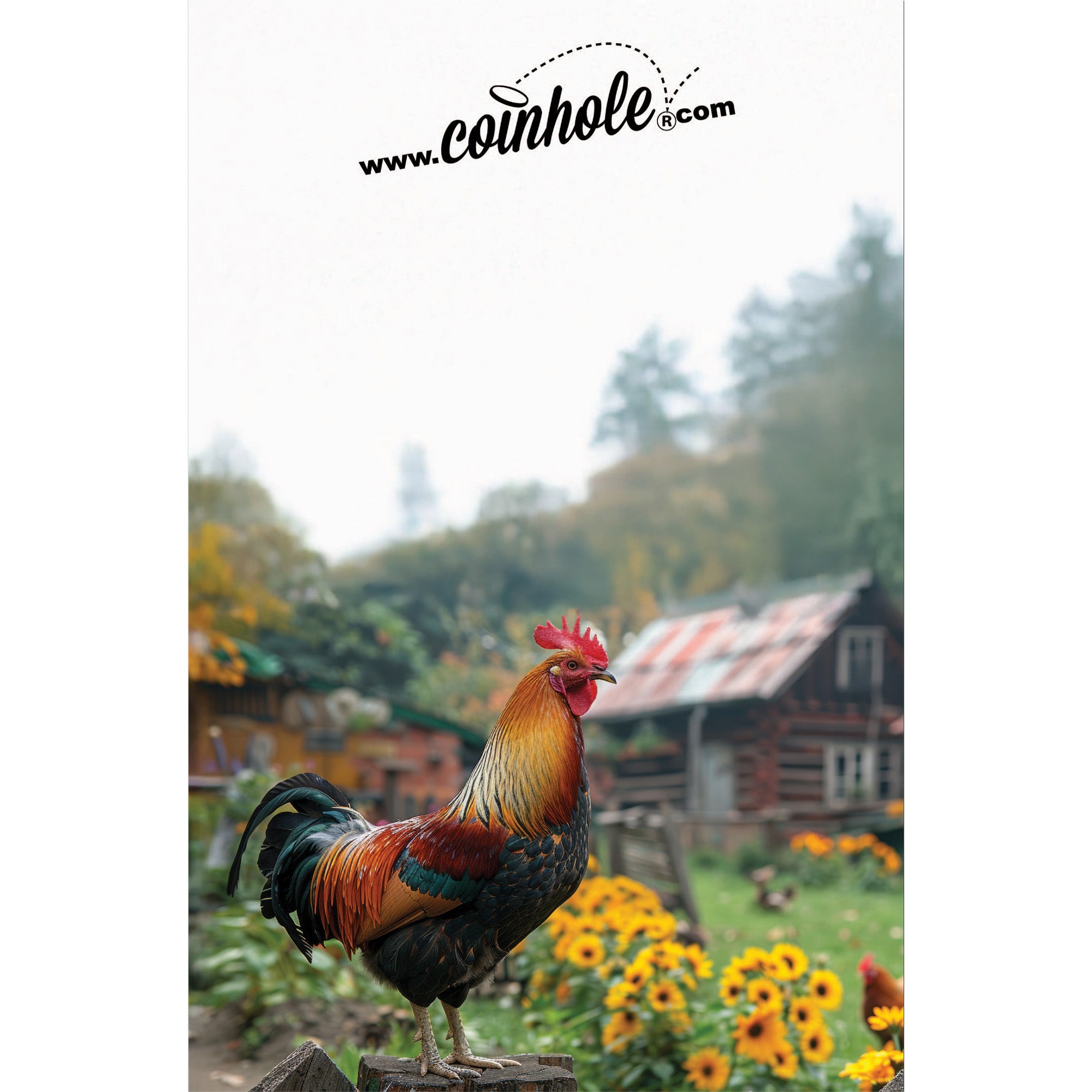 Rooster Coinhole®