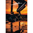 Skate Board Coinhole®