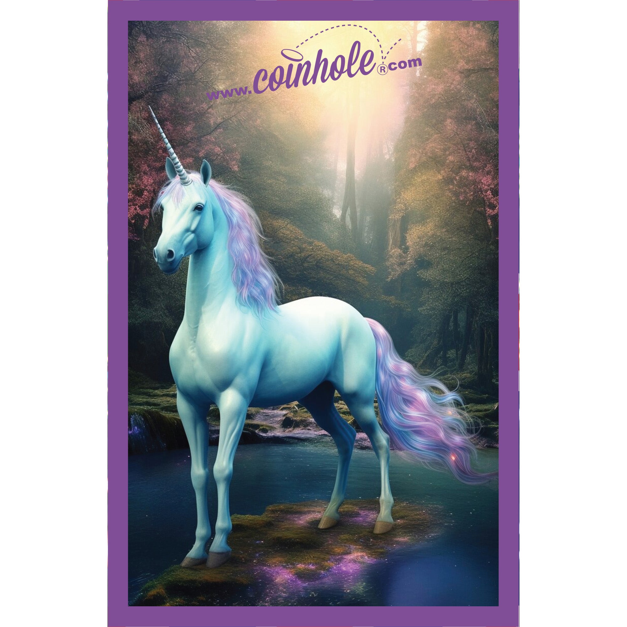Unicorn Coinhole®