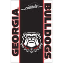 University of Georgia Bulldog Coinhole®