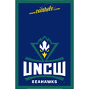University of North Carolina Wilmington Blue Coinhole®