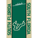 University of South Florida Coinhole®