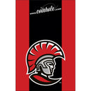 University of Tampa Coinhole®