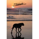 Dog on Beach Coinhole®