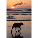 Dog on Beach Coinhole®