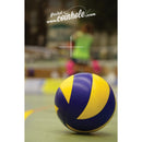 Volleyball Coinhole®