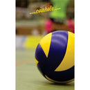 Volleyball Coinhole®